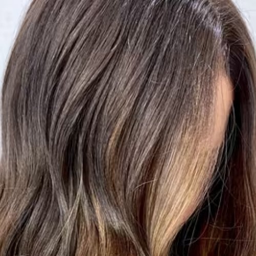 hair color services salon